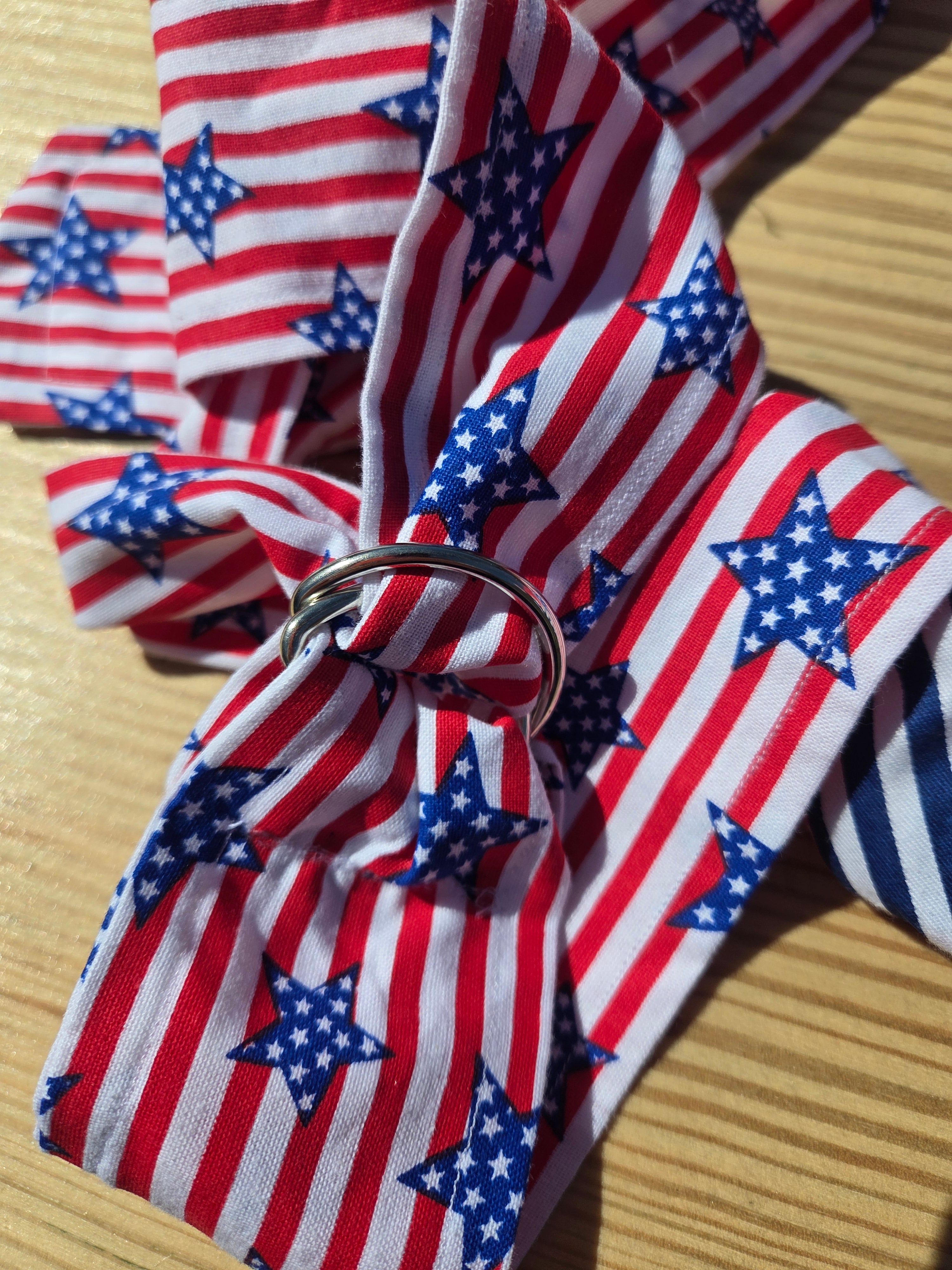 Patriotic fanny